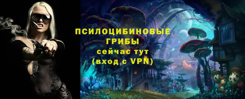 Галлюциногенные грибы Psilocybine cubensis  гидра зеркало  Комсомольск-на-Амуре 